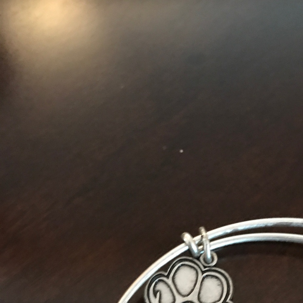 Alex and Annie bracelets. Qty 2 - Picture 4 of 4