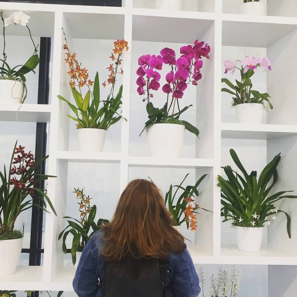 Meet your Posher, Lotte