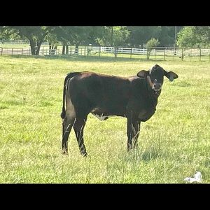 Meet your Posher, Regina