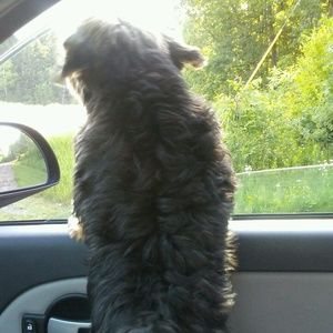 Meet your Posher, Candida