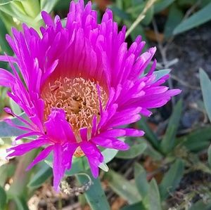 Meet your Posher, Uriah