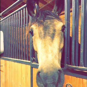 Meet your Posher, Ella