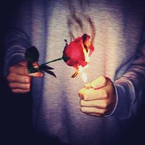 Meet your Posher, Oscar