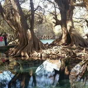 Meet your Posher, Lourdes