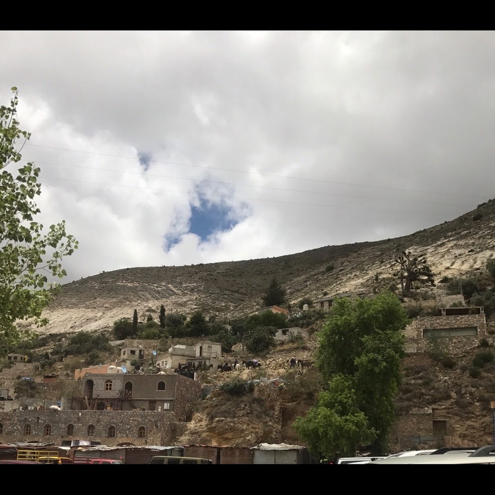 Meet your Posher, Liz