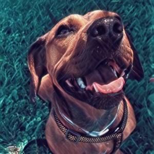 Meet your Posher, Kiley