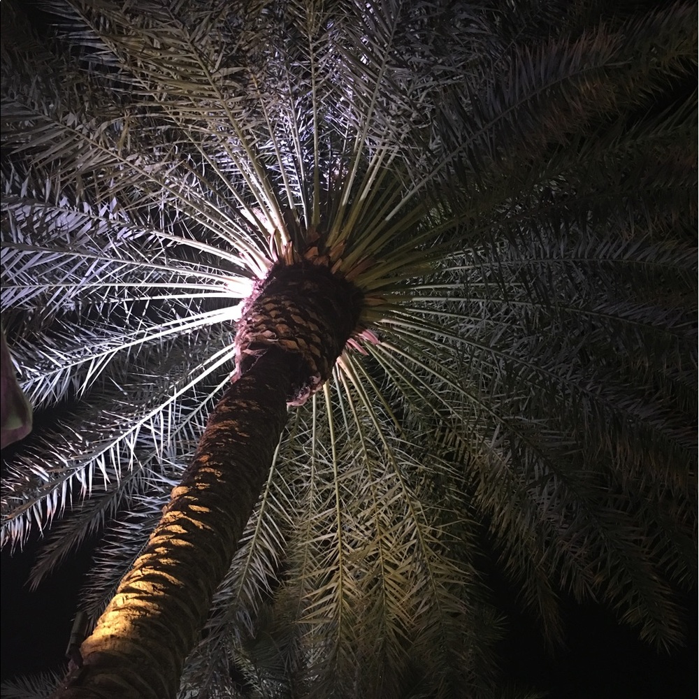 Meet your Posh Ambassador,  Kim