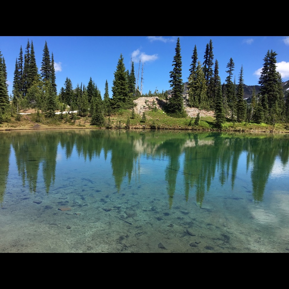 Meet your Posher, Taryn