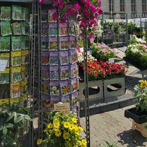 Meet your Posher, Janie