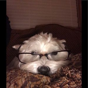 Meet your Posher, Jillian