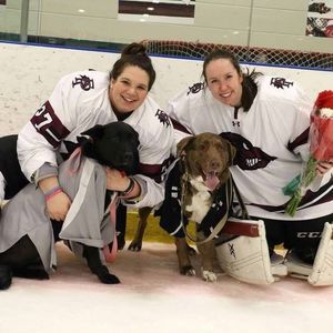 Meet your Posher, Casey