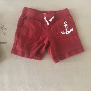 Crewcuts shorts