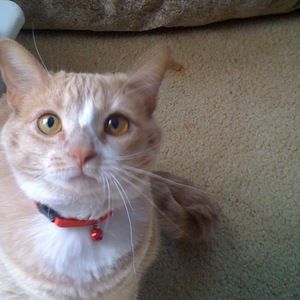 Meet your Posher, Chantal