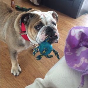 Meet your Posher, Ashley