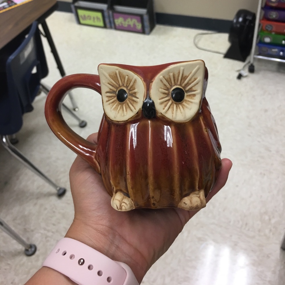 Cracker Barrel Owl Mug