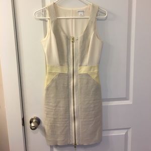 Club Monaco fitted sheath dress