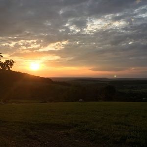 Meet your Posher, Delaney