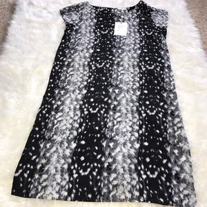 Joie Silk Print Dress