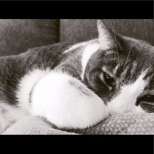 Meet your Posher, Nicole