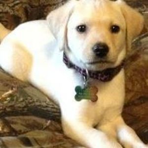 Meet your Posher, Elijah