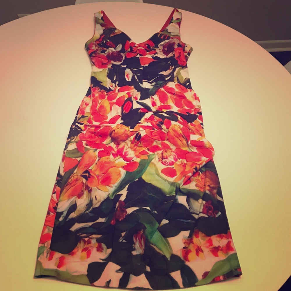 Floral Artelier Nicole Miller Dress