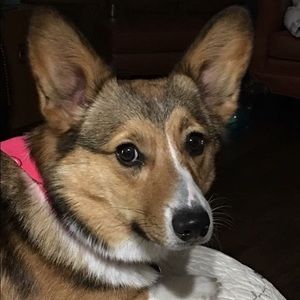 Meet your Posher, Cheryl