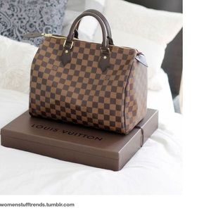 LV Damier Ebene Speedy bag