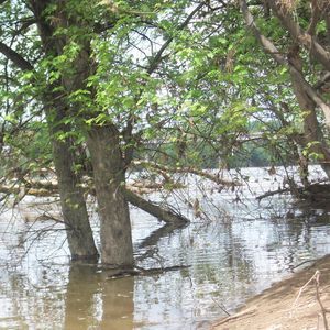 Meet your Posher, Sue