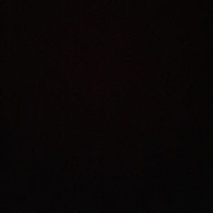 Meet your Posher, Mackenzie