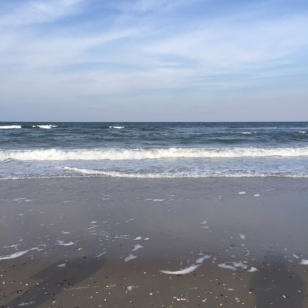 Welcome! - Picture 2 of 2