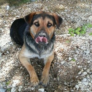 Meet your Posher, Meredith