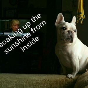 Meet your Posher, Regina