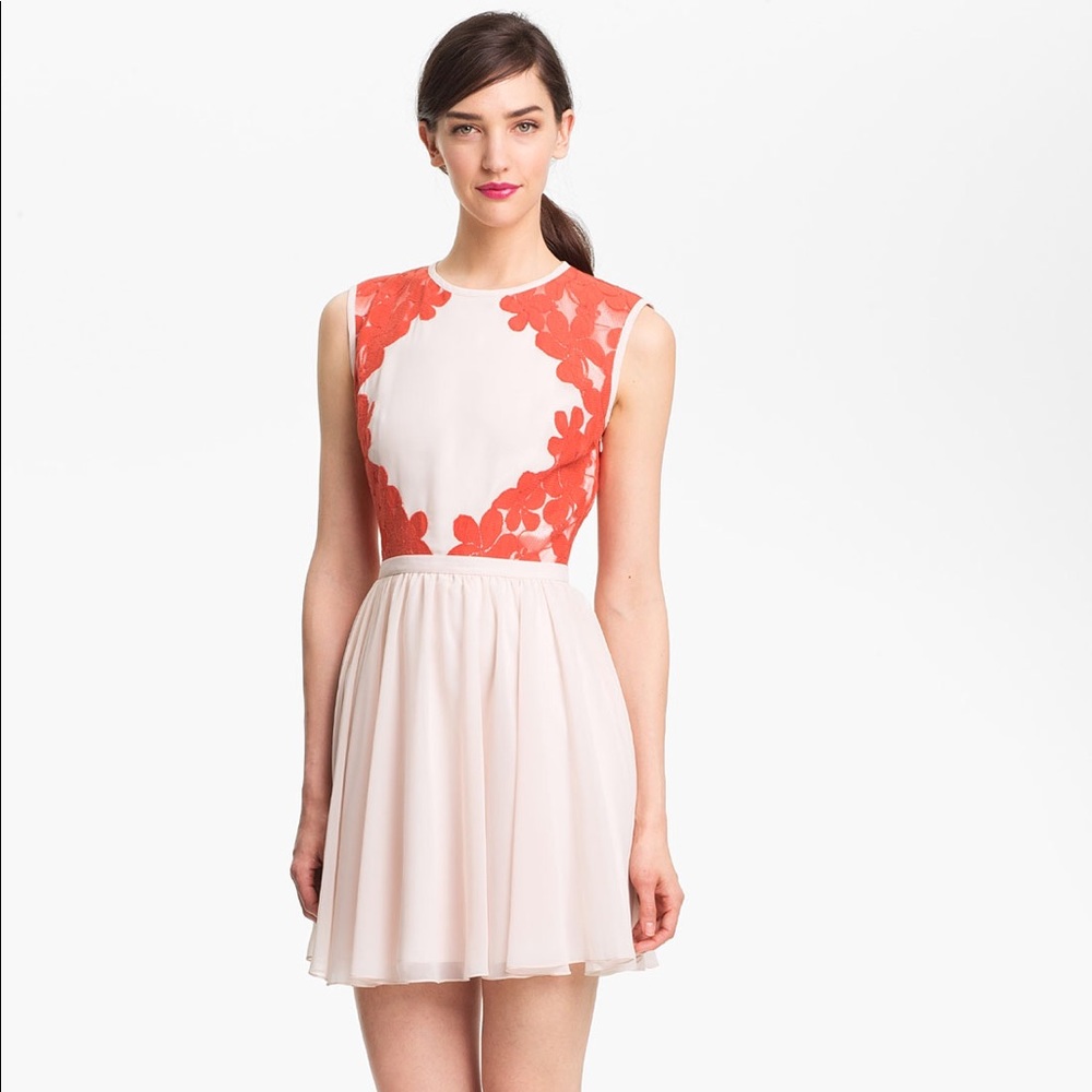 Ted Baker Mixed Media Fit and Flare dress