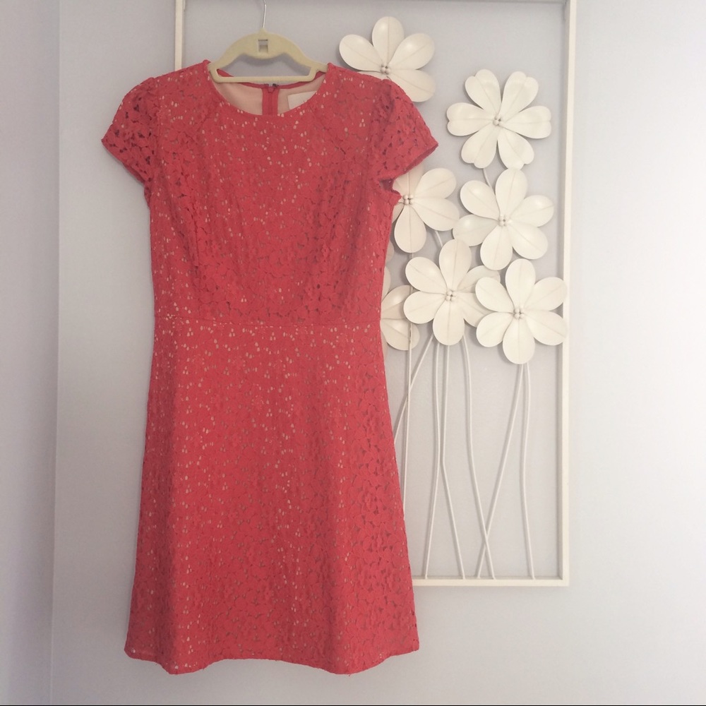 ‼️PRICE DROP‼️LOFT Lace dress
