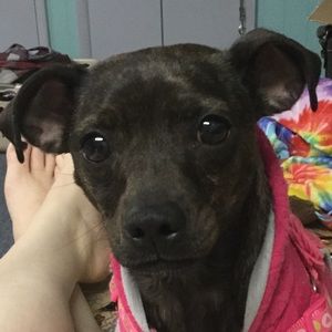 Meet your Posher, Anastasia