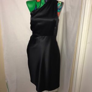 J crew Nanine 100% silk dress