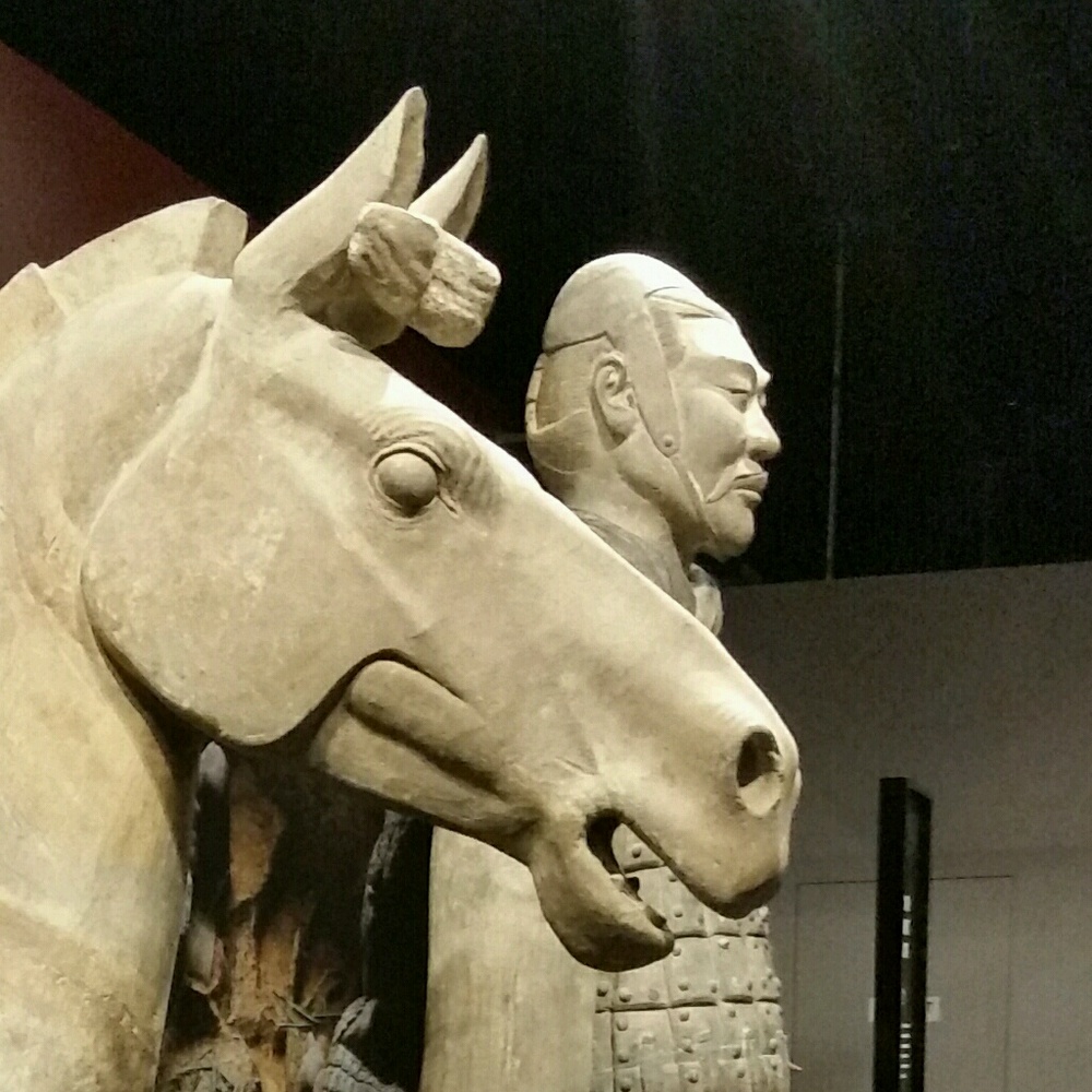 Meet your Posher, Ava