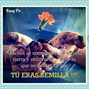 Meet your Posher, Lilian