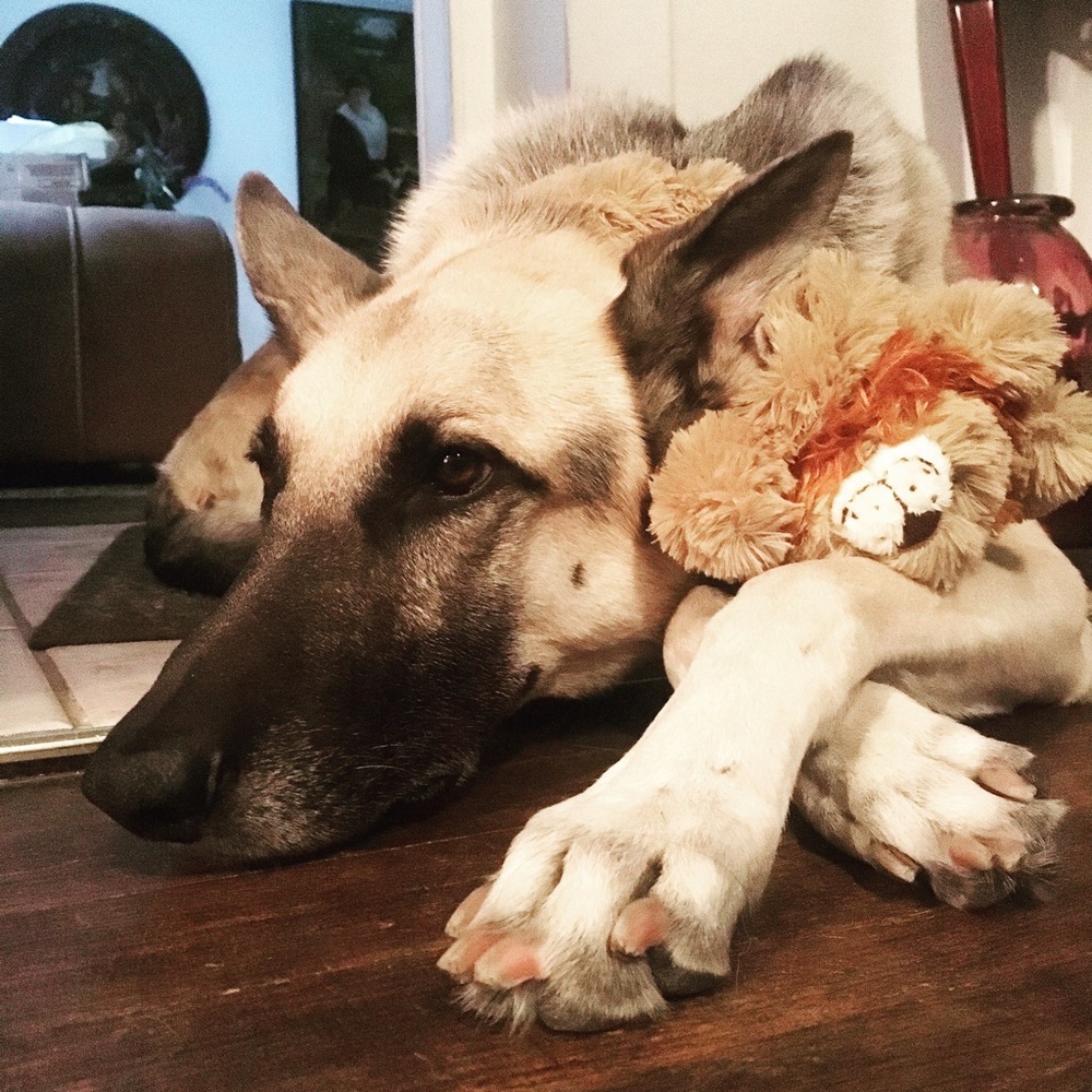 Meet your Posher, Becca