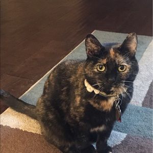 Meet your Posher, Brittany