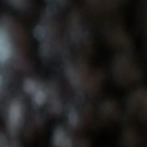 Meet your Posher, Melvin