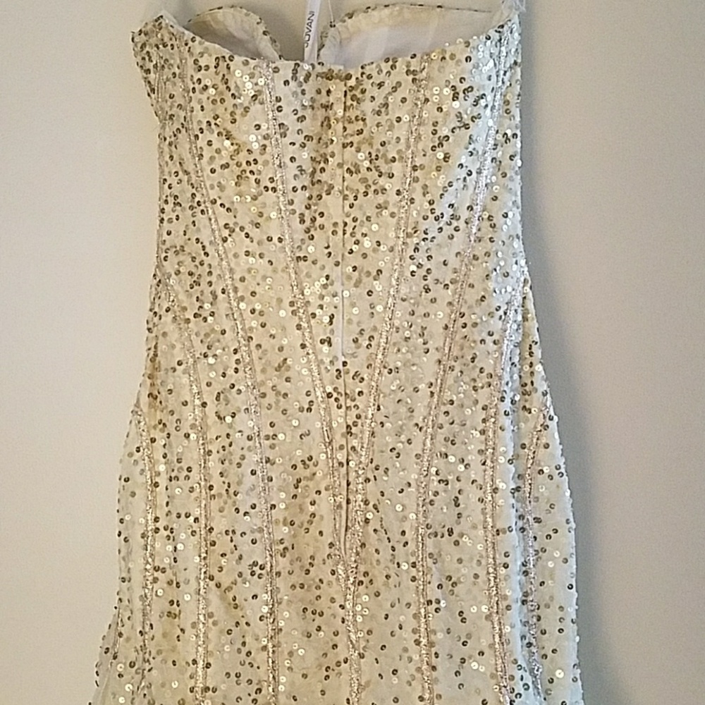 Prom Dress - Picture 6 of 7