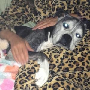 Meet your Posher, Cherri