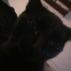 Meet your Posher, Justin