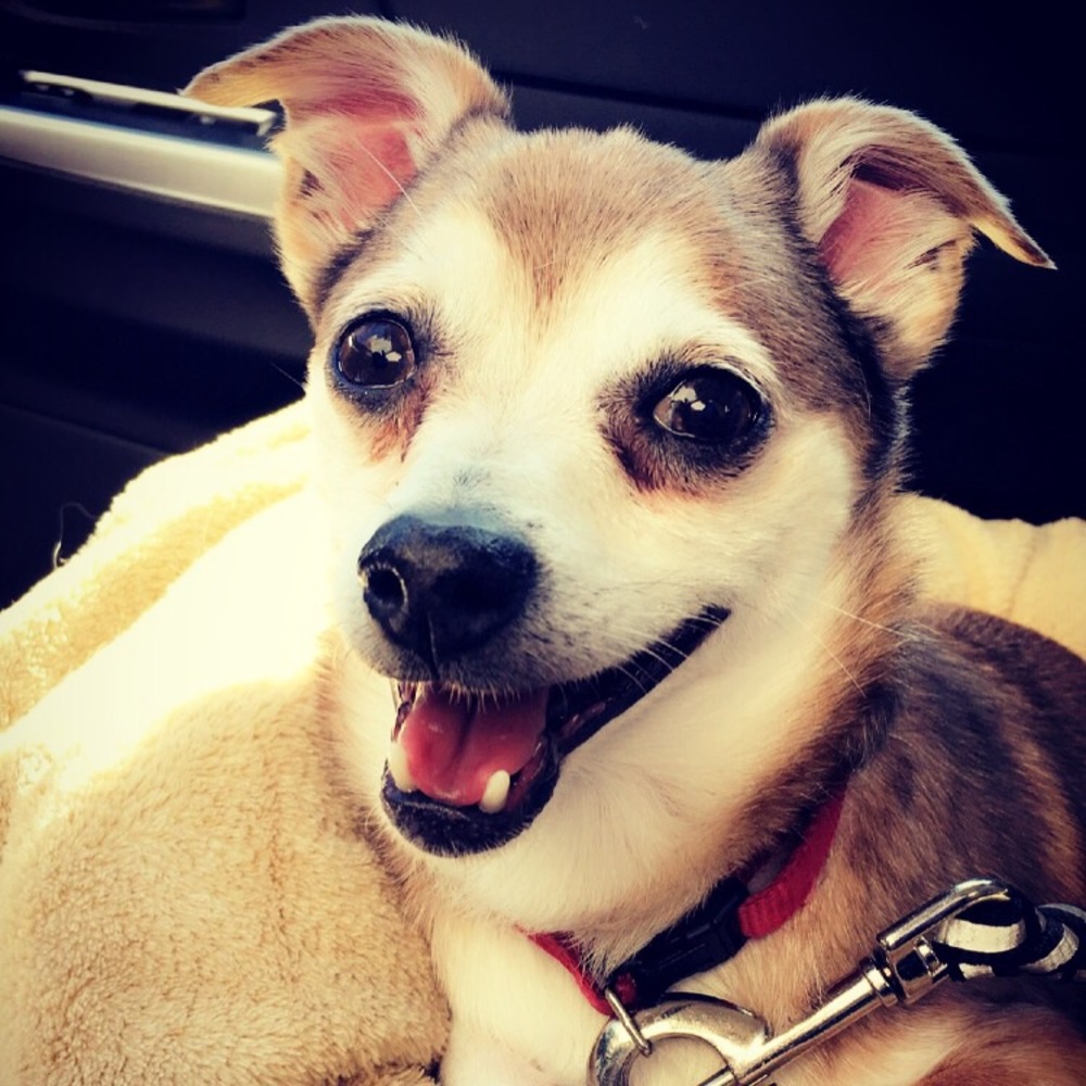 Meet your Posher, Caitlin