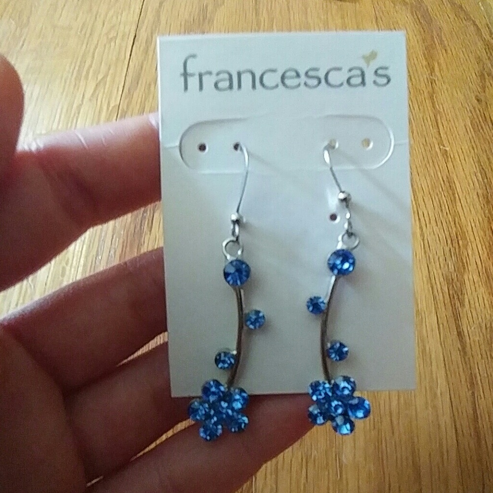 Beautiful blue earrings
