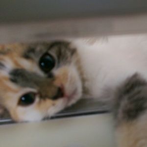 Cherish the best in others!