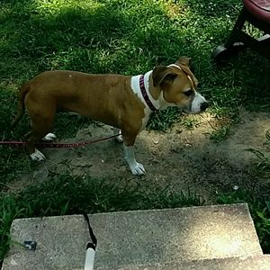 Meet your Posher, Teresa