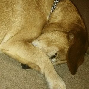 Meet your Posher, Cassandra