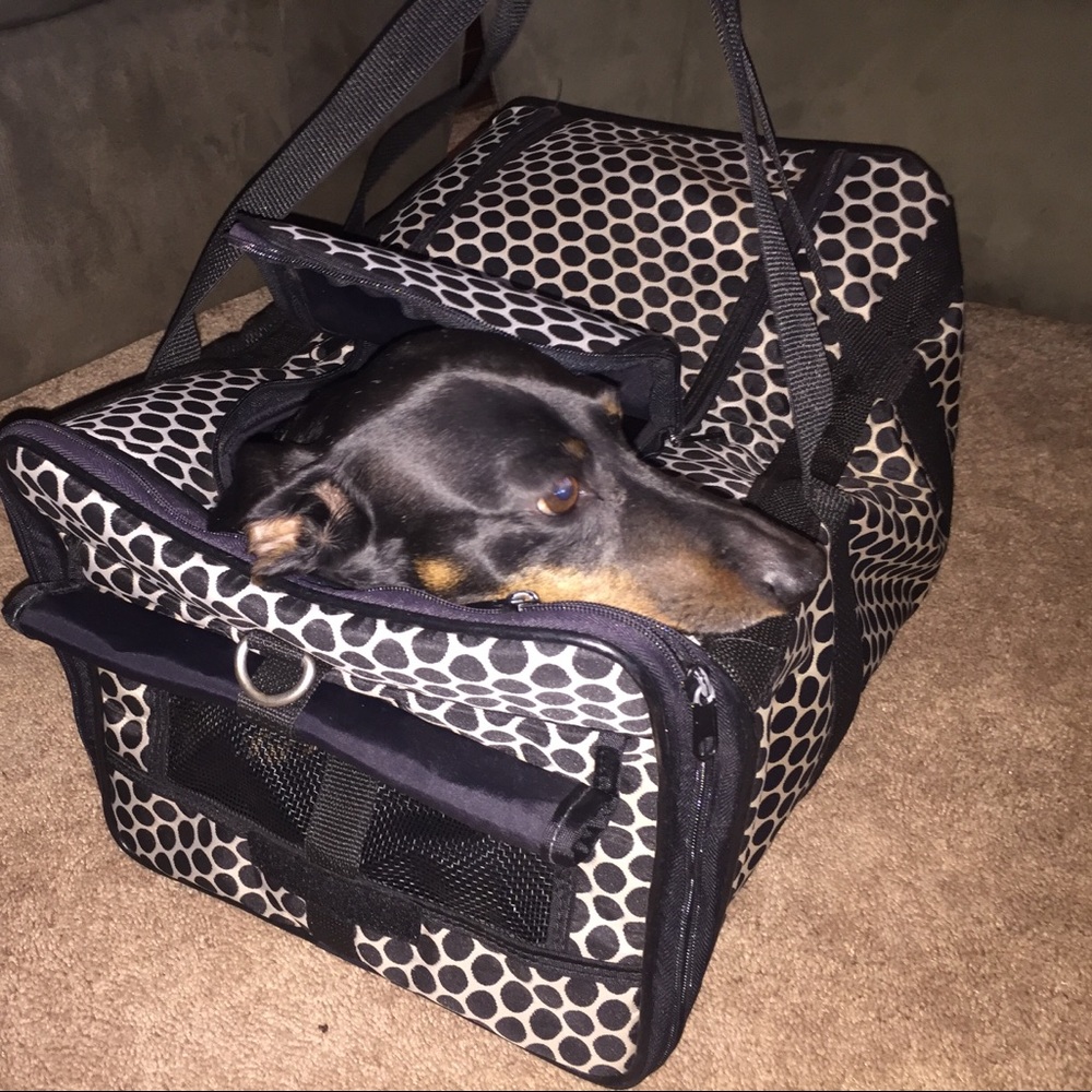 Cream and black polka dot  pet carrier 🐾🖤🐾